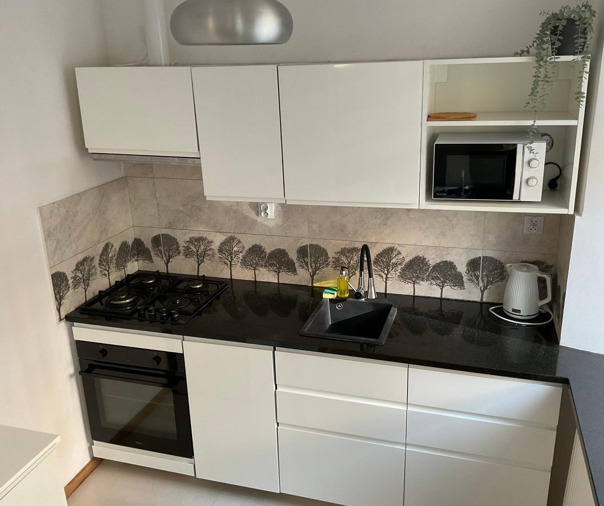 Omorika Na Zamkowej Apartment Krakow Bagian luar foto
