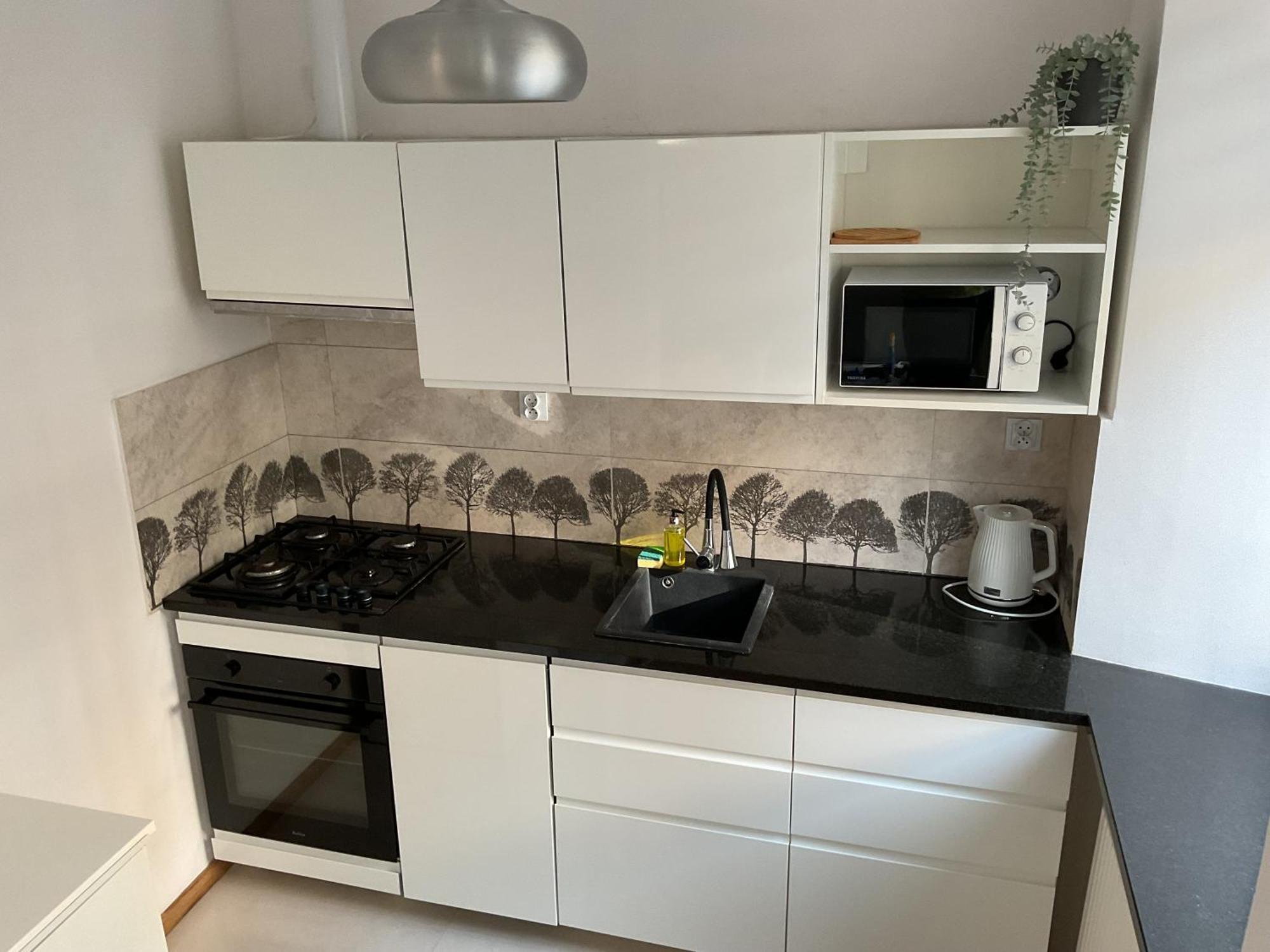 Omorika Na Zamkowej Apartment Krakow Bagian luar foto